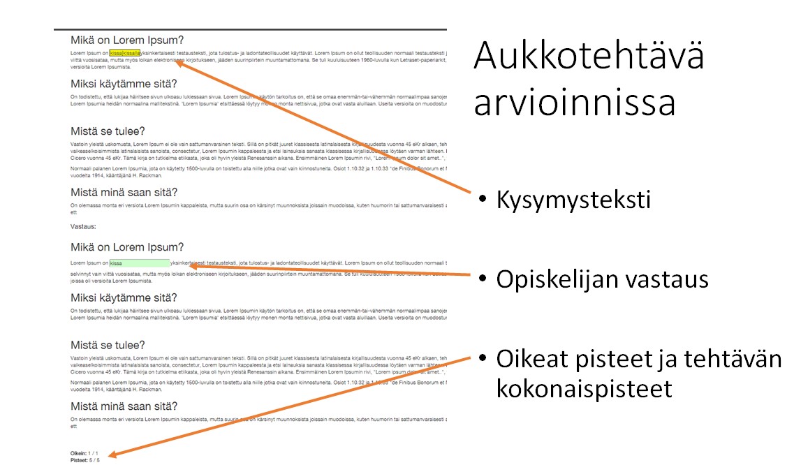 EXAM aukkotehtava arvioinnissa