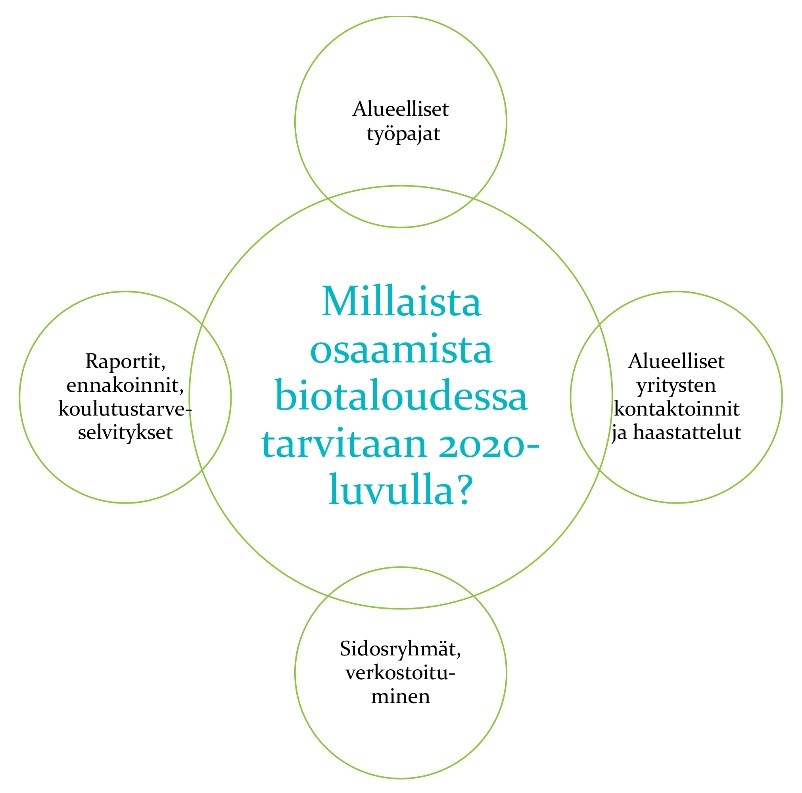 Kuvio jossa kuvattu keinot joilla biotalouden osaamistarpeita kartoitettiin: työpajat, yritysten haastattelut, sidosryhmät, raportit ja koulutustarveselvitykset