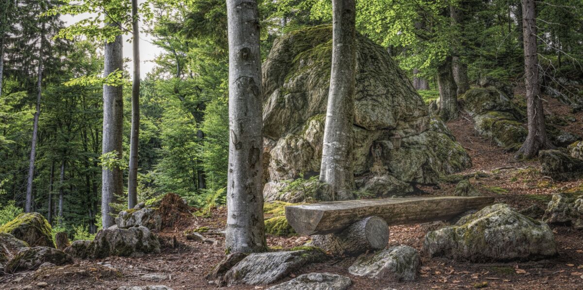 Metsämaisema jossa suuria kiviä, havumetsää, ja puusta tehty penkki.