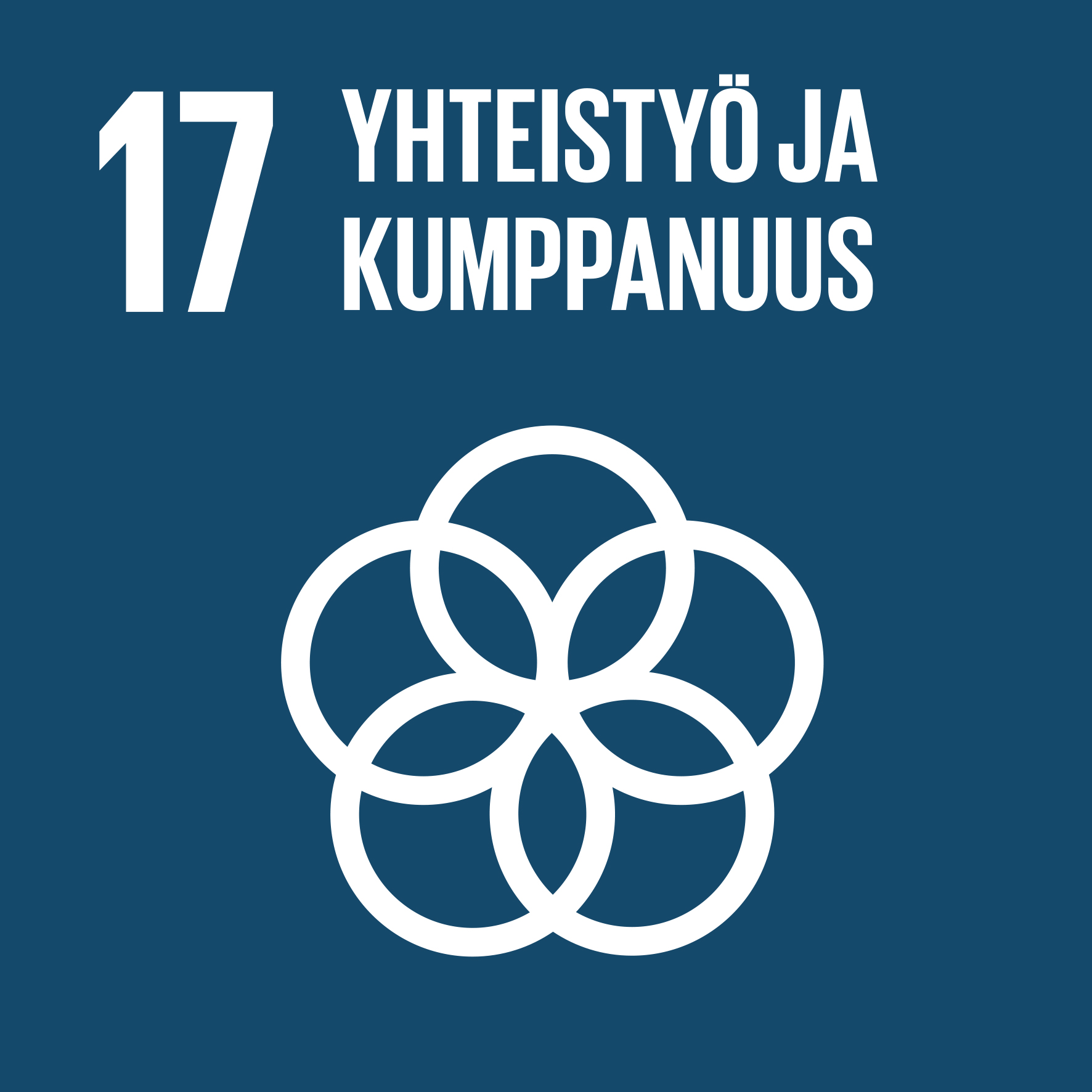 17 Yhteistyö ja kumppanuus