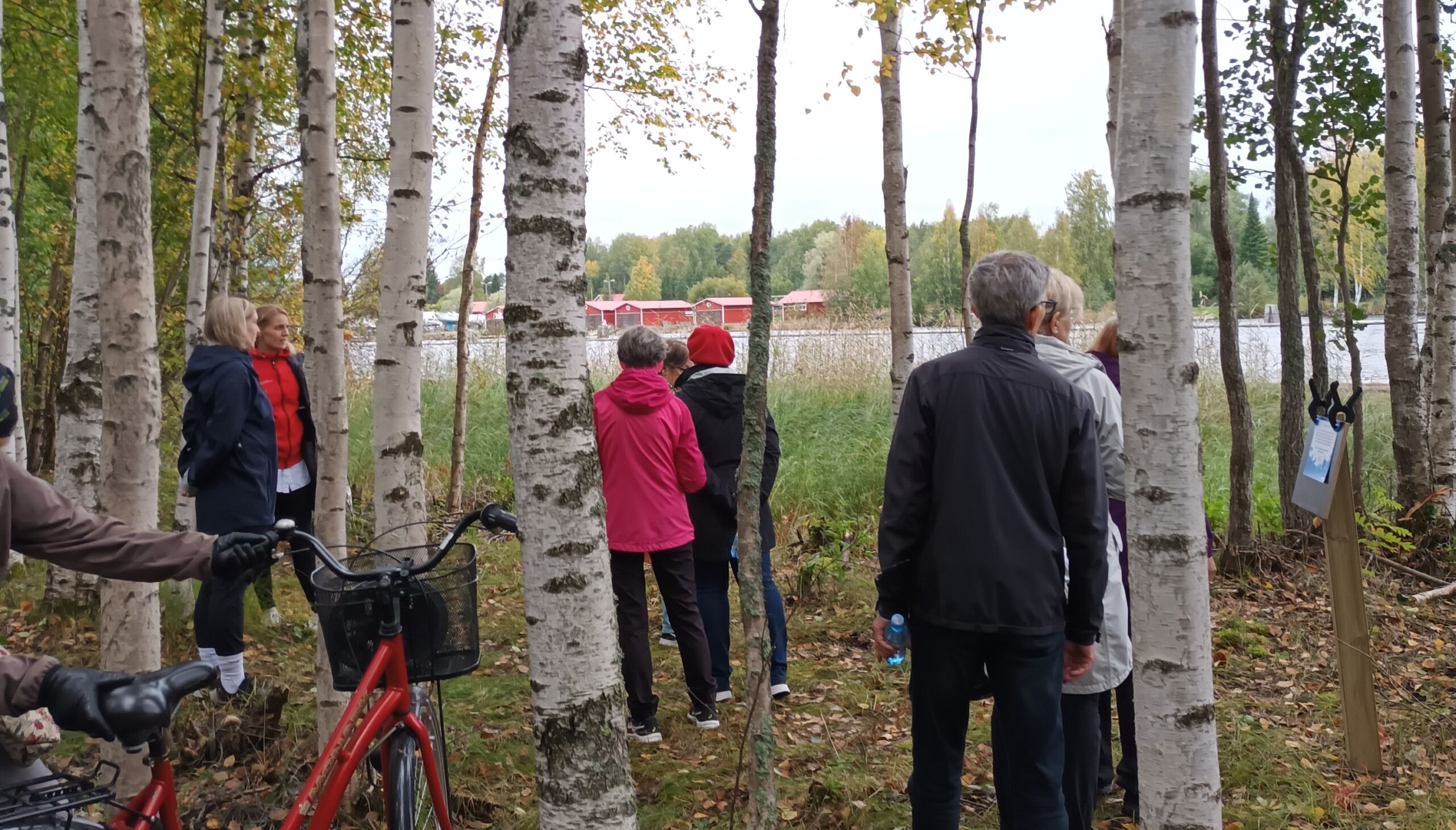 Puisto jossa koivuja ja nurmikkoa, taustalla joki. Ihmisiä seisoo puistossa.