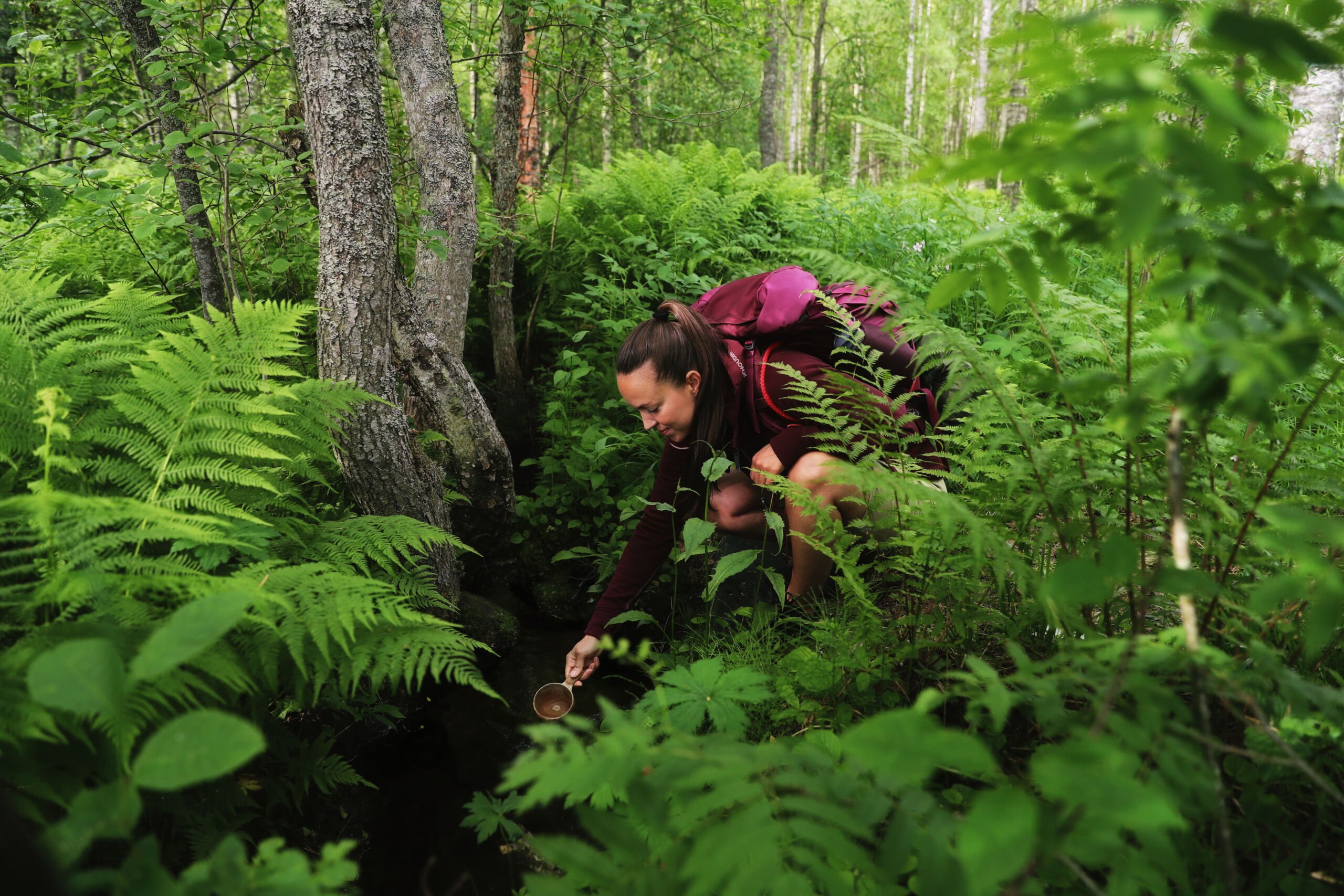 REGENERATE – Regenerative Tourism in the Northern Periphery and Arctic for building resilient communities and preserving the unique heritage of the region