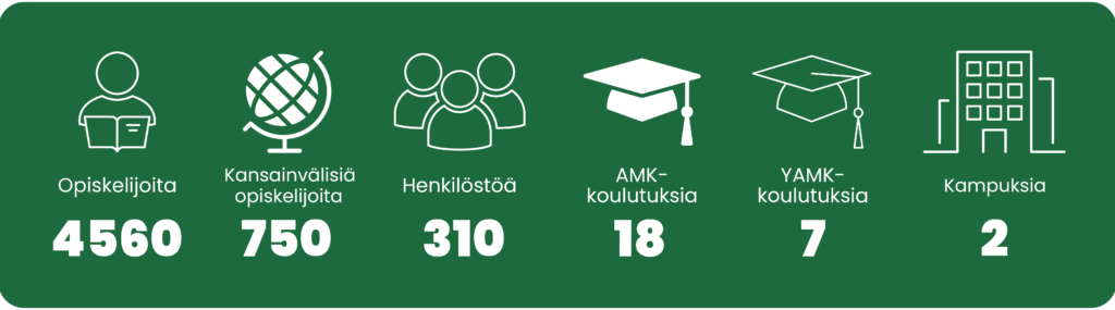 Havainnollistava kuvitus Karelia-ammattikorkeakoulun toimintaan liittyvistä luvuista.