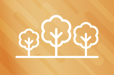 Karelia-ammattikorkeakoulun metsätalous-alan opinnot.