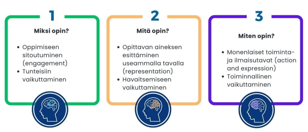 UDL-viitekehyksen kolme periaatetta: Miksi opin?, Mitä opin? ja Miten opin?
