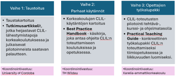 vaiheet: taustoitus (taustakartoitus, tutkimusartikkelit), parhaat käytännöt (CLIL käytäntöjen kartoitus, käsikirja) ja opettajien työkalupakki (pilotointi, työkalupakki)