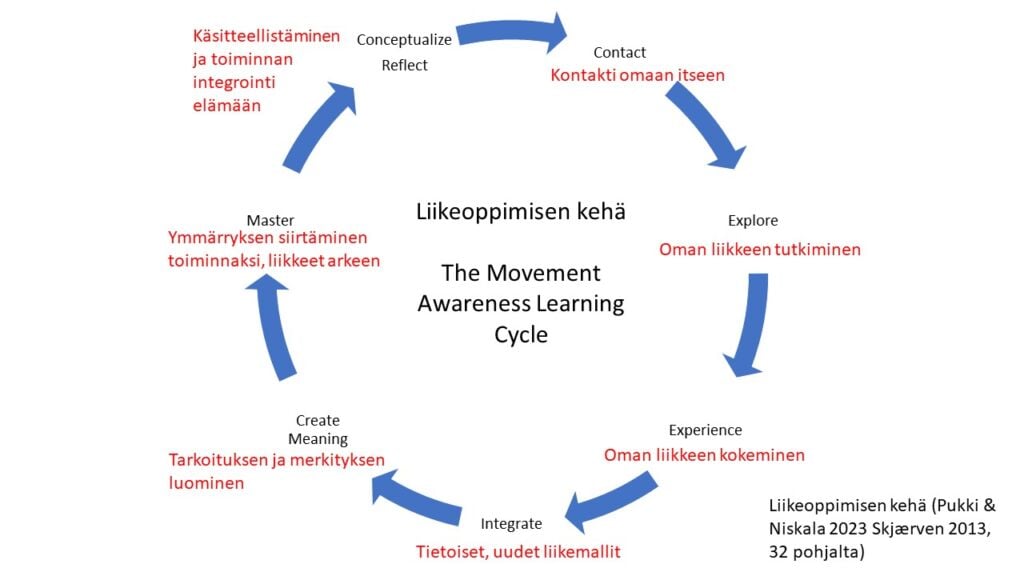 Liikeoppimisen kehä
The Movement Awareness Learning Cycle
Master
Comceptualize Reflect
Contact
Explore
Experience
Integrate
Create Meaning
