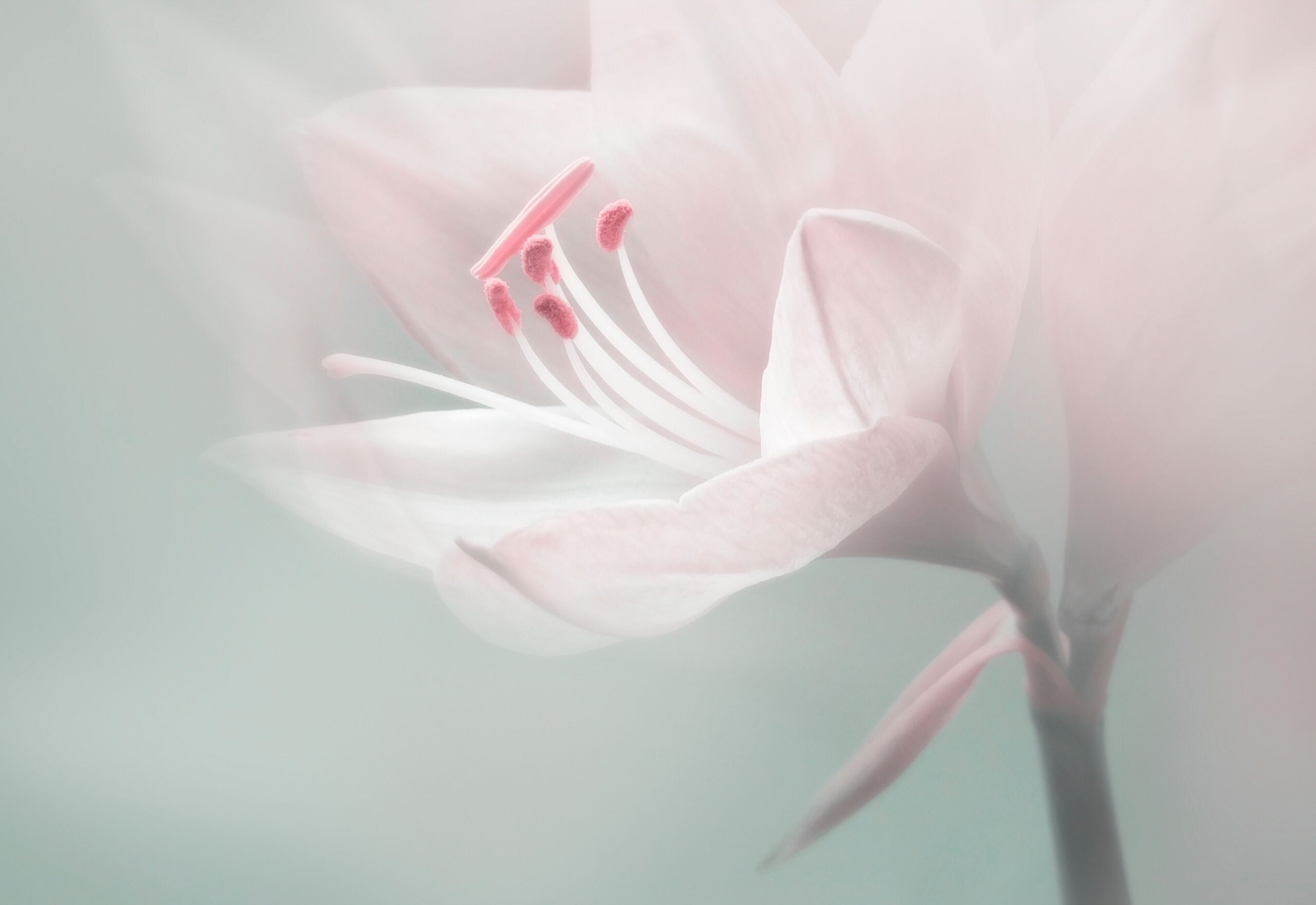 Seksuaalisuus ja seksuaaliterveys