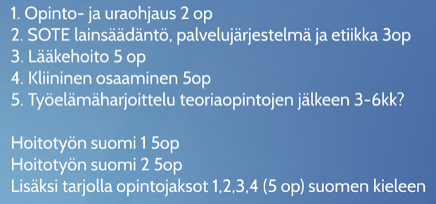 Opinto- ja uraohjaus
SOTE lainsäädäntö, palvelujärjestelmä ja etiikka
Lääkehoito
Kliininen osaaminen
Työelämäharjoittelu
Suomen kielen opintoja