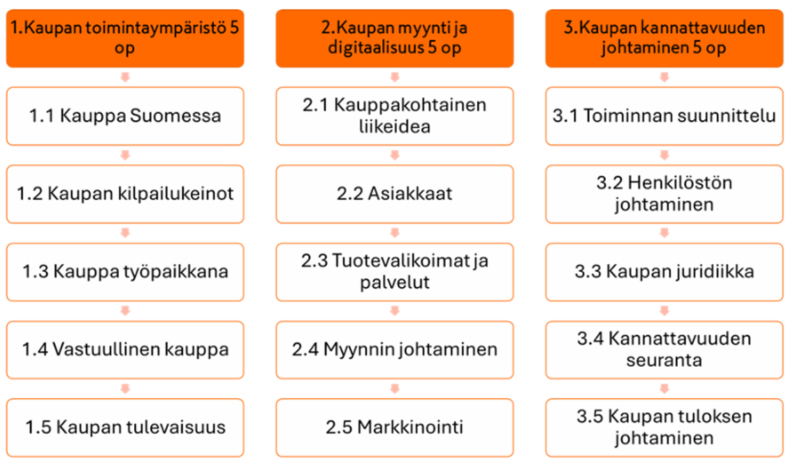 Kuvio jossa lueteltu Kauppa- ja yrittäjyysopintojen sisältö otsikkotasolla