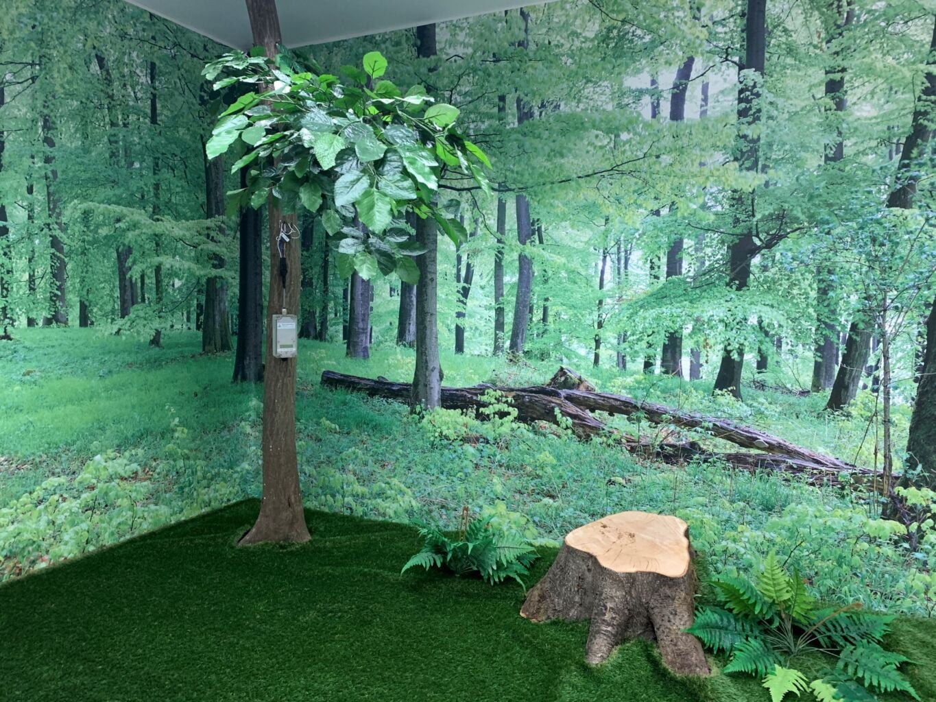 Nurkkaus jossa taustalla kuvaa metsästä, lattialla kanto ja puu
